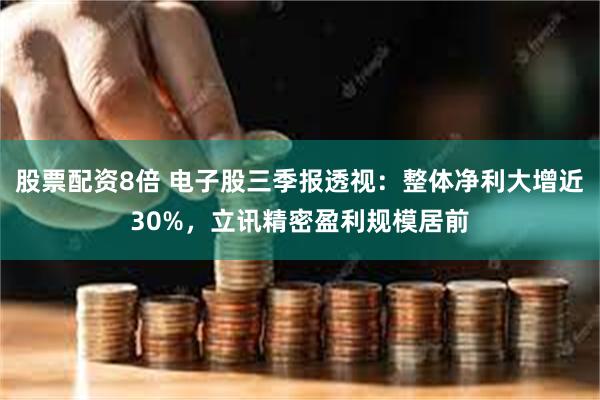 股票配资8倍 电子股三季报透视：整体净利大增近30%，立讯精密盈利规模居前