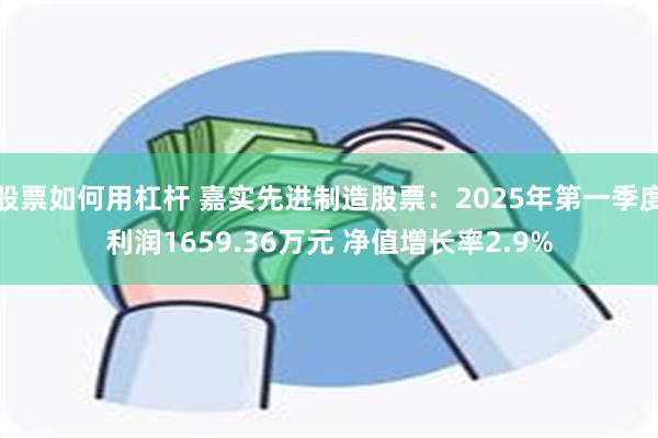 股票如何用杠杆 嘉实先进制造股票：2025年第一季度利润1659.36万元 净值增长率2.9%