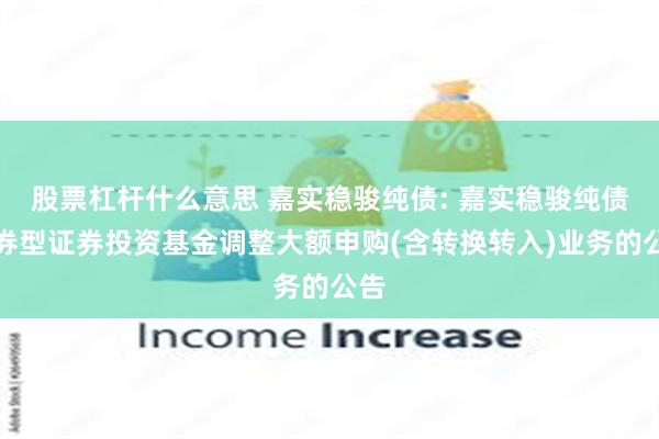 股票杠杆什么意思 嘉实稳骏纯债: 嘉实稳骏纯债债券型证券投资基金调整大额申购(含转换转入)业务的公告
