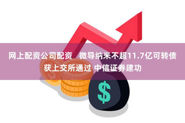网上配资公司配资   微导纳米不超11.7亿可转债获上交所通过 中信证券建功