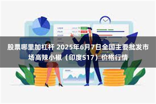 股票哪里加杠杆 2025年6月7日全国主要批发市场高辣小椒（印度S17）价格行情