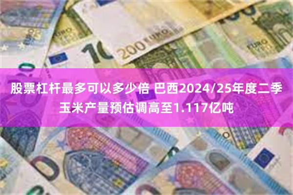 股票杠杆最多可以多少倍 巴西2024/25年度二季玉米产量预估调高至1.117亿吨