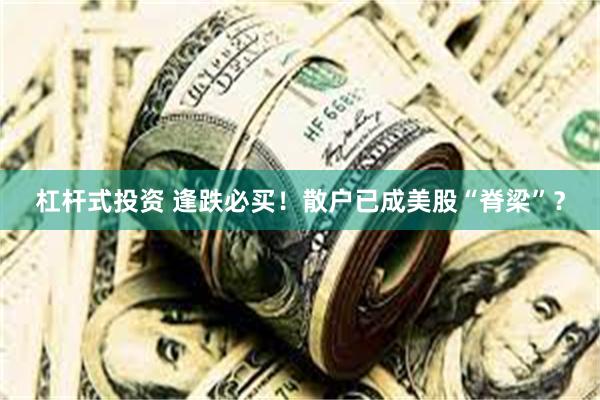 杠杆式投资 逢跌必买！散户已成美股“脊梁”？