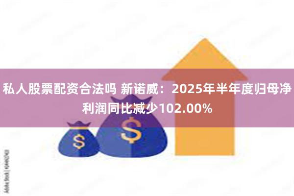 私人股票配资合法吗 新诺威：2025年半年度归母净利润同比减少102.00%