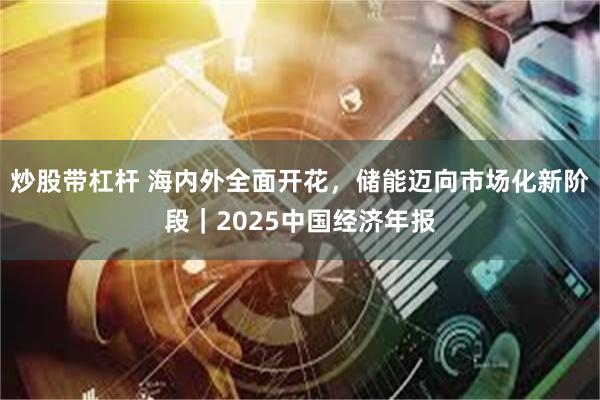 炒股带杠杆 海内外全面开花，储能迈向市场化新阶段｜2025中国经济年报